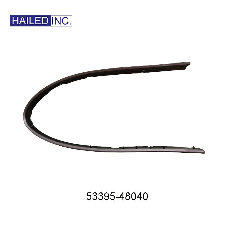 Rubber Strip on Grille OEM 53395 - 48040 for Lexus RX350 2009 - 2011 - Hailed Inc.